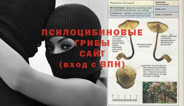 дживик Арсеньев