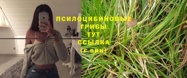круглые Аркадак