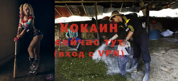 дживик Арсеньев