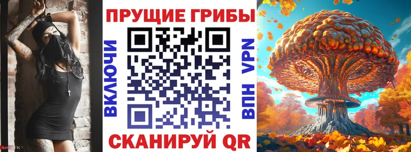 Псилоцибиновые грибы Psilocybe  Черняховск 
